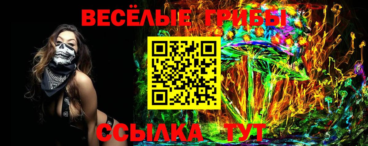 Галлюциногенные грибы MAGIC MUSHROOMS Курган