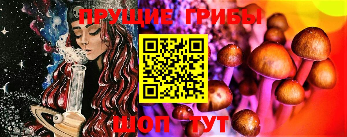 Псилоцибиновые грибы Psilocybe  Вход с VPN  Курган 